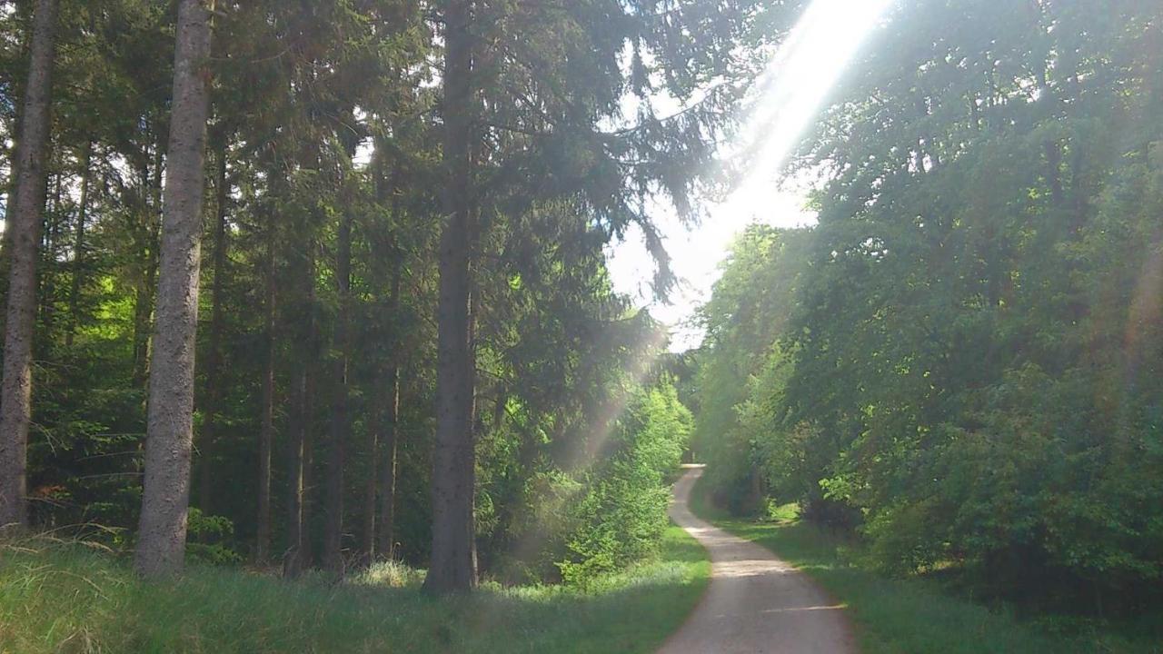 Top Ferienwohnungen Binz Granitzhof Exterior foto